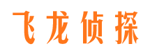 怀化婚外情调查